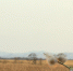 3318228.jpg - IrkutskMedia.Ru