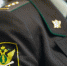 3365163.jpg - IrkutskMedia.Ru