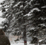 3374536.jpg - IrkutskMedia.Ru