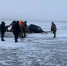 "Нива" частично провалилась под лед Братского водохранилища в Иркутской области - IrkutskMedia.Ru