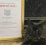 3382943.jpg - IrkutskMedia.Ru