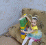 JPEG Файл - УМВД Иркутской области