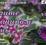 Выставка комнатных растений откроется 1 марта в Музейной студии краеведческого музея - Сибирские новости