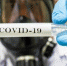 В Иркутской области за сутки у 123 граждан диагностировали COVID-19 - Baikal24.Ru