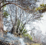 23-04-13-fire - Заповедное Прибайкалье