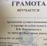 Спортивные традиции в память о В. В. Жириновском - ЛДПР