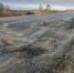 3614628.jpg - IrkutskMedia.Ru