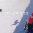 Коршун нападает на детей и взрослых в Барнауле - Baikal24.Ru