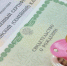 В 2024 году маткапитал проиндексируют на 5,3% - Weacom.Ru
