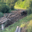 Водитель лесовоза погиб в ДТП на дороге в Усть-Удинском районе - IrkutskMedia.Ru