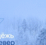 «ИНК-Капитал» запускает грантовый конкурс «Молодежь PRO Север» - SIA.RU