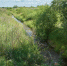 Фото Маргариты Романовой, IRK.ru - Irk.Ru