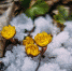 3840045.jpg - IrkutskMedia.Ru