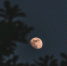 3854290.png - IrkutskMedia.Ru