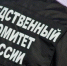 В Нижнеудинске задержали женщину, обвиняемую в убийстве бывшего мужа - Weacom.Ru