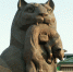 Фото IRK.ru - Irk.Ru