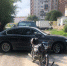 Малолетних девочку и мальчика сбили автомобили среди бела дня в Новосибирске - Baikal24.Ru