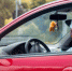 3873332.jpg - IrkutskMedia.Ru