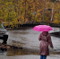 Осенняя непогода пришла в Иркутскую область - Nts-Tv.Ru