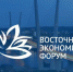 Уголь и крабы: названы самые дорогие инвестпроекты ВЭФ - Baikal24.Ru