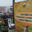 Лучших садоводов и огородников наградили в Иркутске - ИА ИркСиб