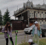 Более 100 деревьев  и кустарников - Восточно-Сибирская правда