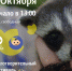 Иркутский зоосад организует для иркутян инклюзивный фестиваль «Счастье для всех» - Сибирские новости
