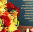 ПОЗДРАВЛЯЕМ! - ВСГАО