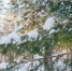3966163.jpg - IrkutskMedia.Ru