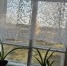 ЛДПР помогает! - ЛДПР