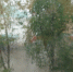 3975591.jpg - IrkutskMedia.Ru