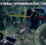 19 октября – День образования службы криминалистики - Следственный комитет