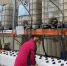 Цех по выпуску водно-дисперсионных красок и грунтов откроется в Иркутске - Rayon.Irk.Today