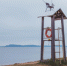 4015317.jpg - IrkutskMedia.Ru