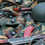 4021515.jpg - IrkutskMedia.Ru