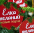 Открыта регистрация на участие во Всероссийской акции «Ёлка желаний - 2023». - Министерство социального развития