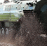 4086354.jpg - IrkutskMedia.Ru