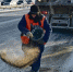 Рабочая неделя под знаком -30°. Люди и машины «Иркутскавтодора» трудятся на уборке города, невзирая на мороз - Газета Иркутск