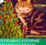 12 правил, которые помогут сделать Новый год безопасным! - Министерство жилищной политики, энергетики, транспорта и связи