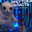 Иркутская область на выставке-форуме «Россия» на ВДНХ - Министерство социального развития