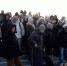 Подписи против введения в Иркутской области эвтаназии для бездомных животных собирают общественники - Nts-Tv.Ru