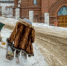 4204101.jpg - IrkutskMedia.Ru