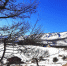24-02-14-frost - Заповедное Прибайкалье
