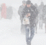 4230274.jpg - IrkutskMedia.Ru