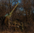 4232482.jpg - IrkutskMedia.Ru