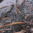 4252035.jpg - IrkutskMedia.Ru