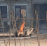 4261530.jpg - IrkutskMedia.Ru