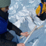Фото участников фестиваля Baikal Ice Music / https://www.istu.edu - Nts-Tv.Ru