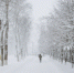 4236516.jpg - IrkutskMedia.Ru
