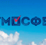 «Атмосферная» экспертиза - Избирательная комиссия